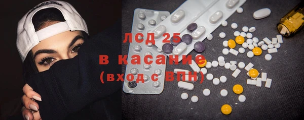 apvp Вяземский