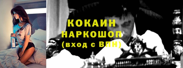 apvp Вяземский